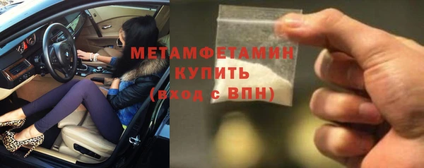 трава Ельня