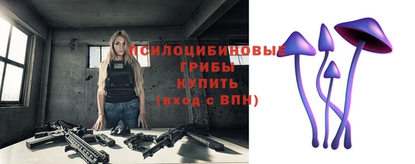 стаф Заводоуковск