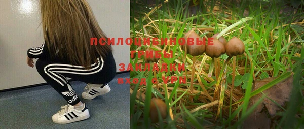 скорость Елабуга