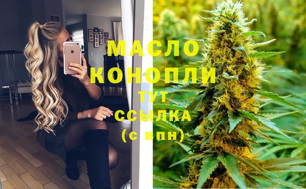 трава Ельня