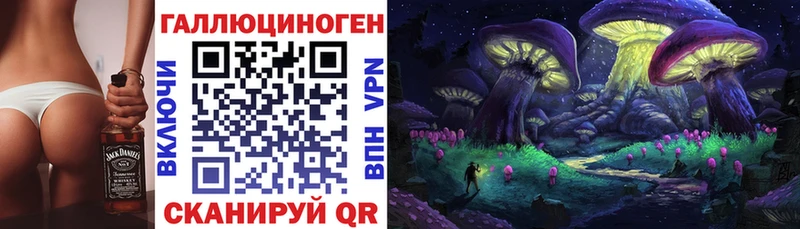Псилоцибиновые грибы Cubensis  Купить где  Михайлов 